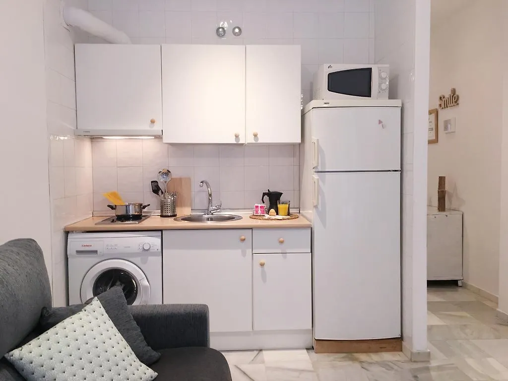 P&P Plaza San Francisco Apartment Malaga Spain